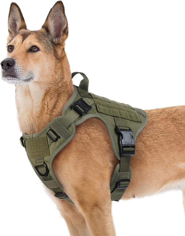 rabbitgoo Tactical Dog Harness