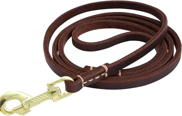 Leather Dog Leash 6 ft x 3/4