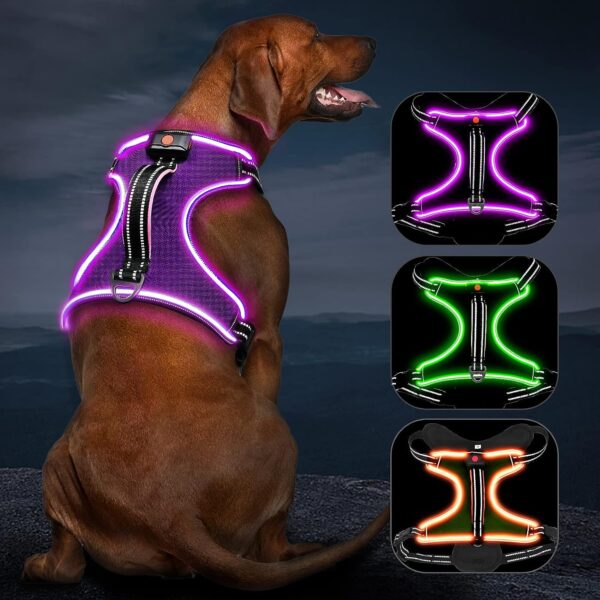 Light Up Dog Harness