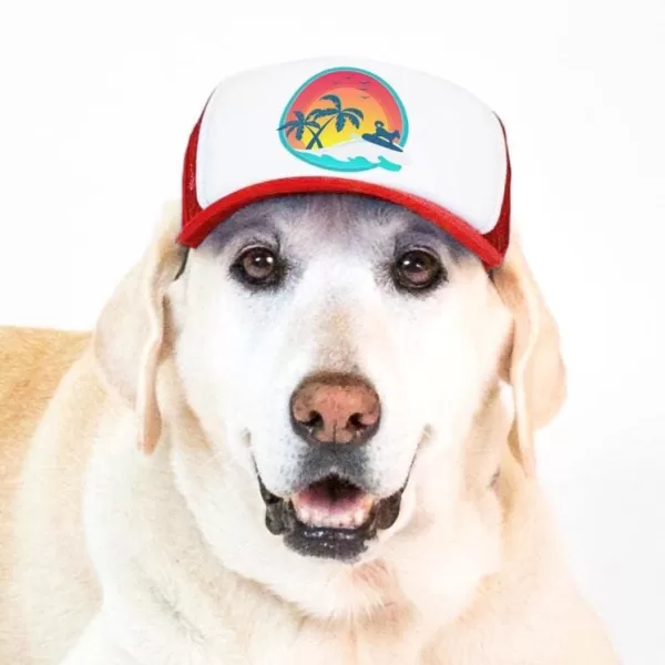 PupLid Trucker Hats for Dogs