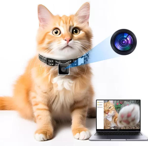 Cat Camera Collar