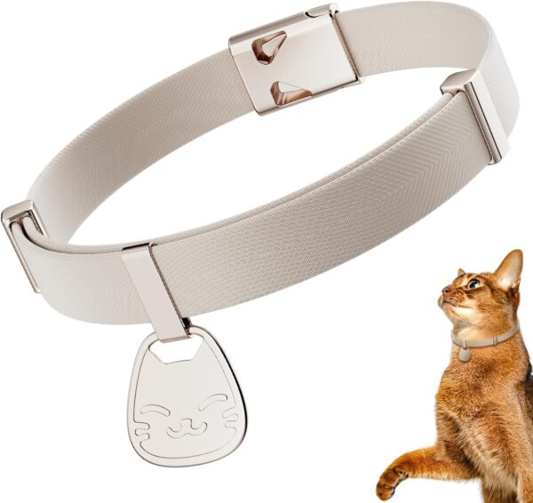 Cat Collar with Name Tag