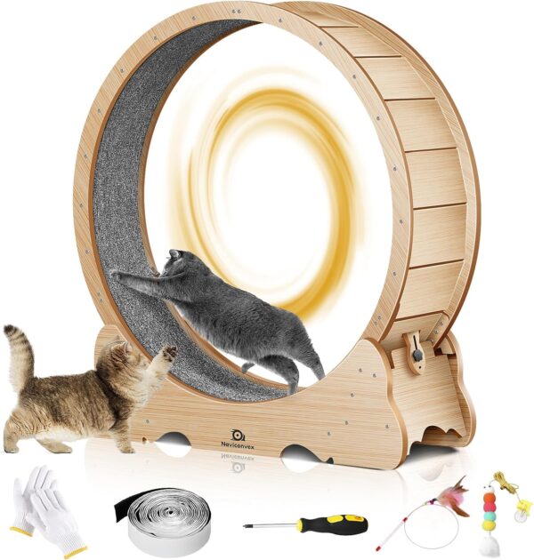 Cat treadmill wheel