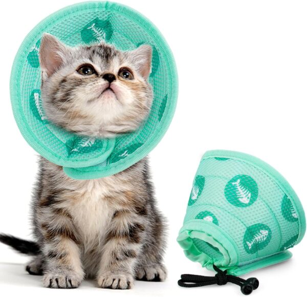 Cat Recovery Cone Collar