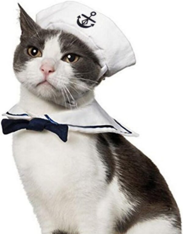 Halloween Cat Sailor Hat