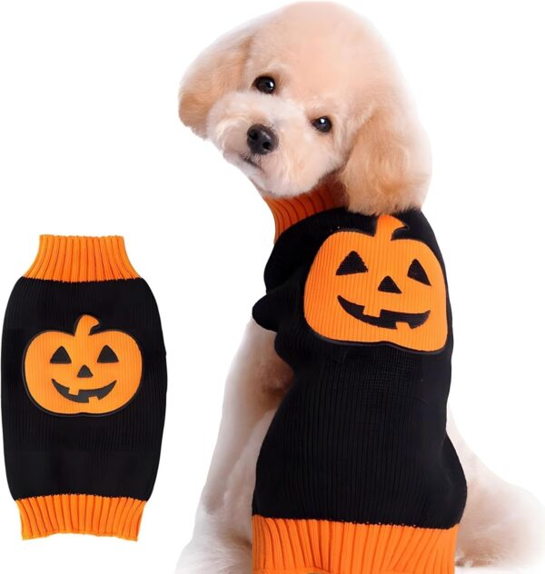 Pumpkin Pet Sweaters