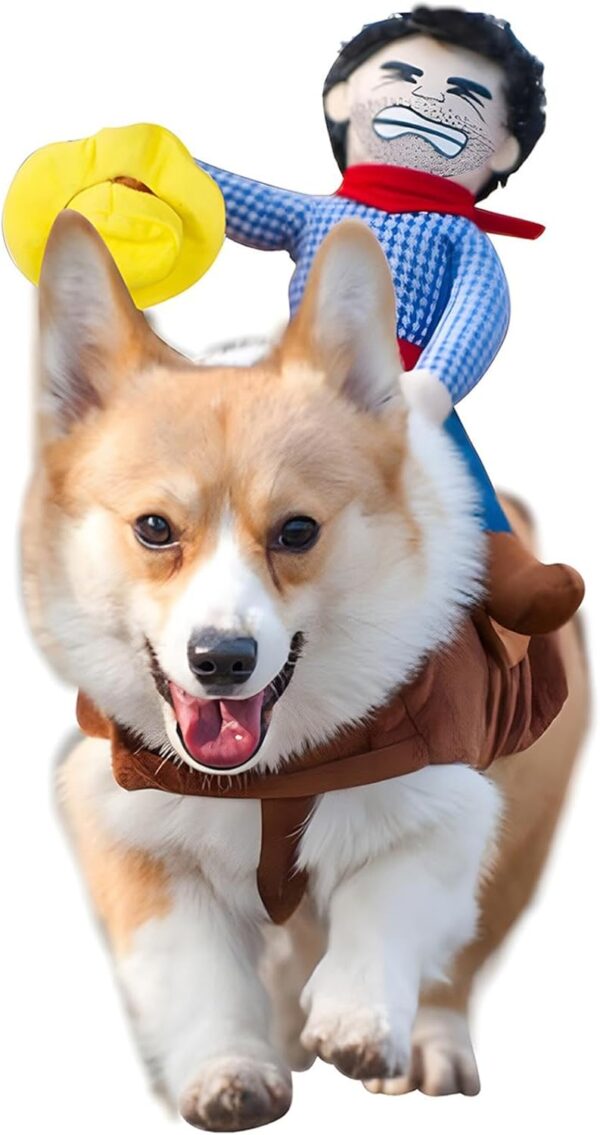 Cowboy Rider Dog Costume