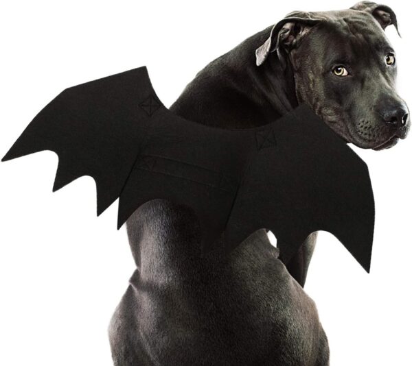 Halloween Pet Costume Bat Wings