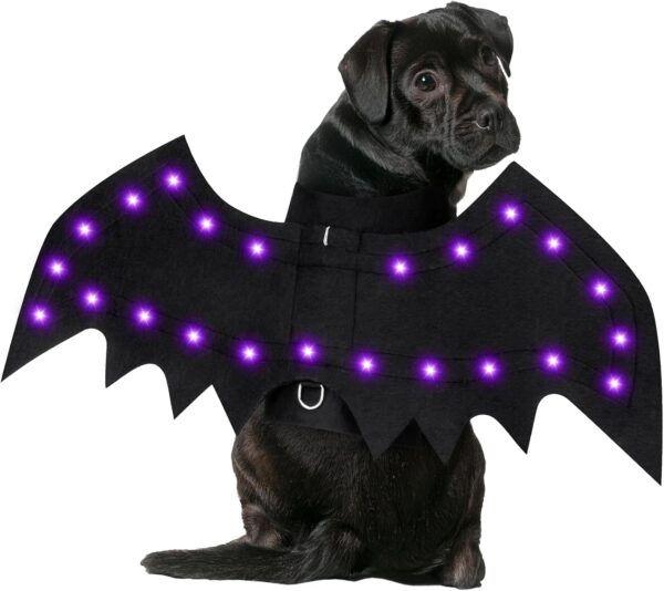 Light Up Dog Halloween Costume