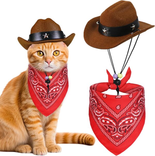 Cat Cowboy Costume