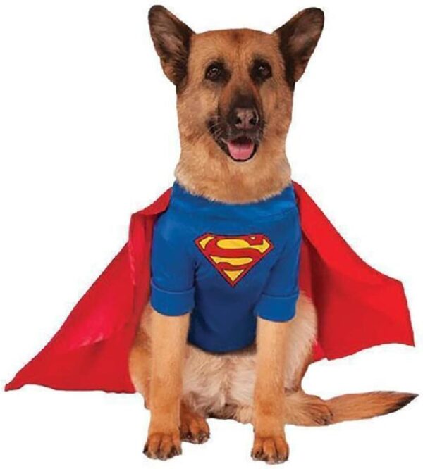 Superman Dog Costume