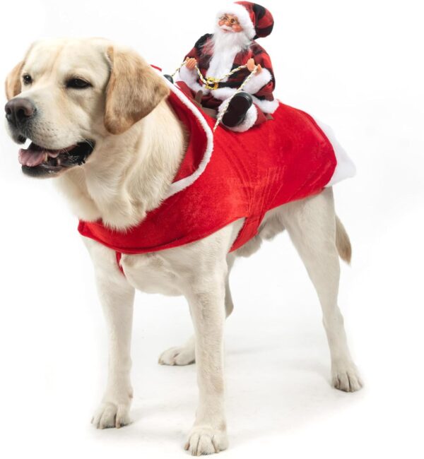 Dog Christmas Outfit