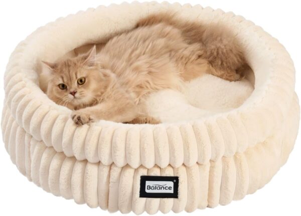 Cat Bed