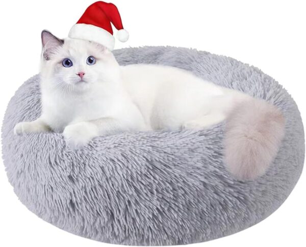 Cat Beds for Indoor Cats