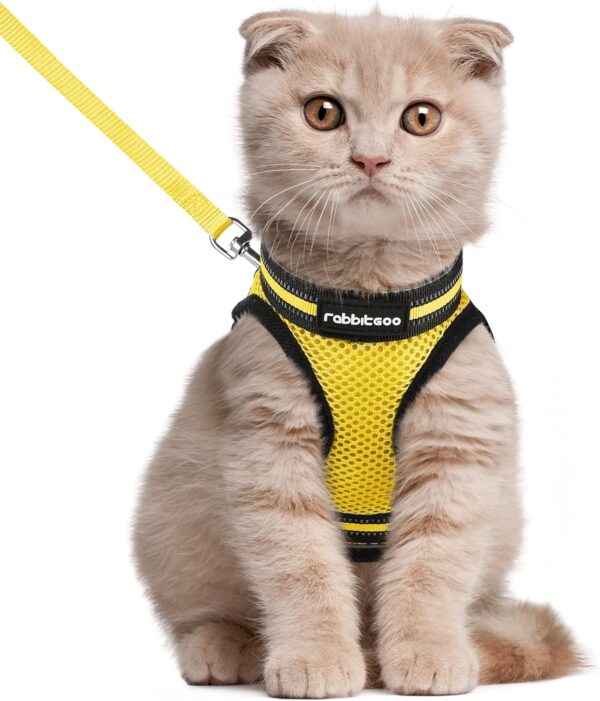 Cat Harness and Leash Set