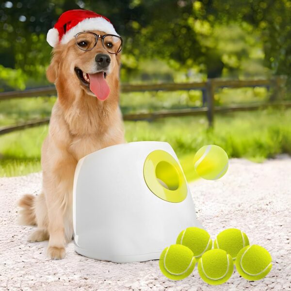 Automatic Dog Ball Launcher