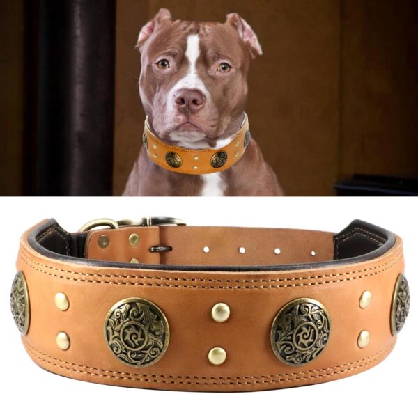 Leather Dog Collar