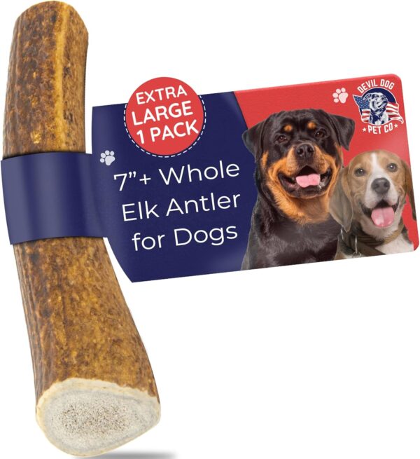 Elk Antlers for Dogs