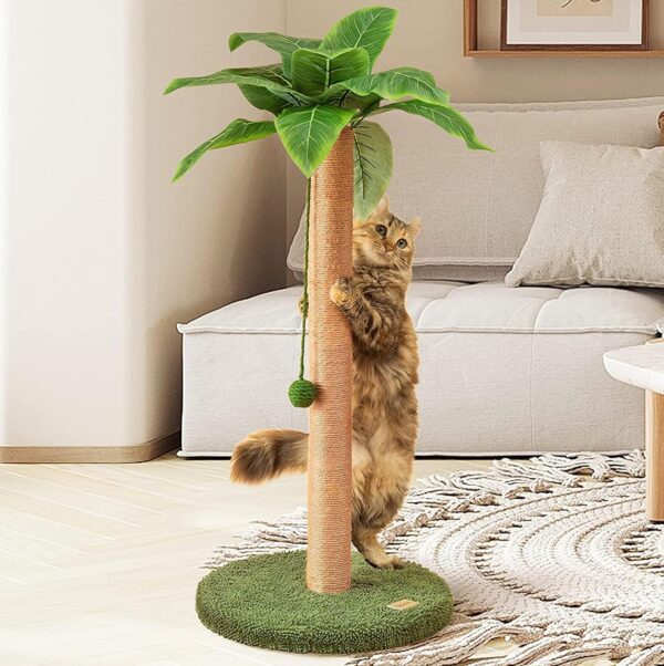 Cat Scratching Post