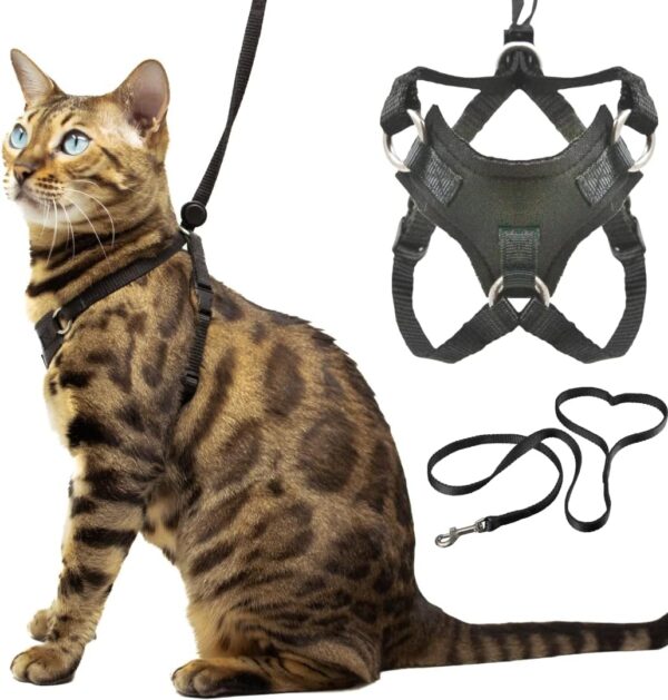 Cat Harness and Leash