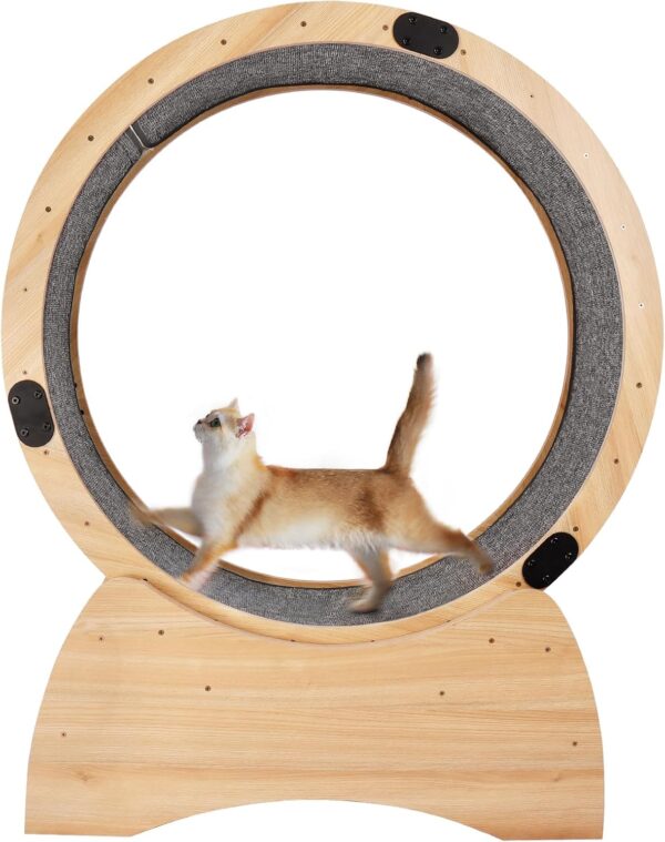 Cat Exercise Wheel