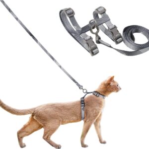 Cat Harness & Leash Set