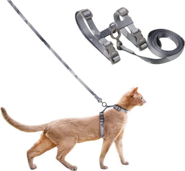 Cat Harness & Leash Set
