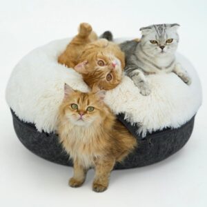 Cat Cave for Multiple Cats