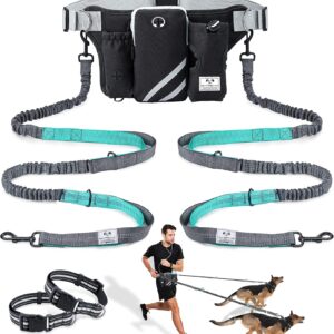 Dual Bungees for 2 Dogs